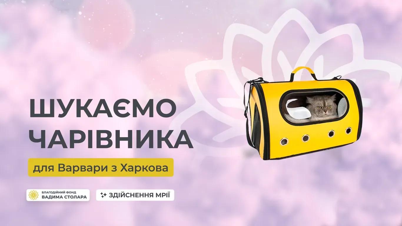 Friends, we continue to publish videos of Ukrainian children in our project "Children's Dreams"